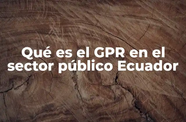 Qué es el Gpr en el Sector Público Ecuador
