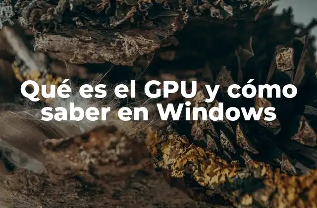 Qué es el Gpu y Cómo Saber en Windows