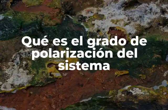 Qué es el Grado de Polarización Del Sistema