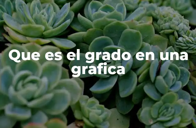 Que es el Grado en una Grafica