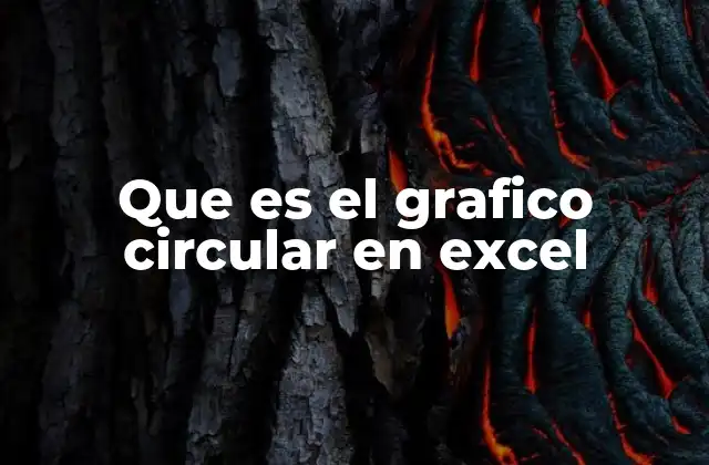 Que es el Grafico Circular en Excel