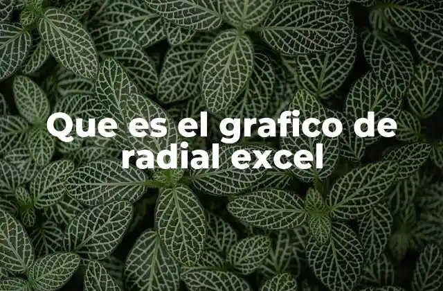 Que es el Grafico de Radial Excel