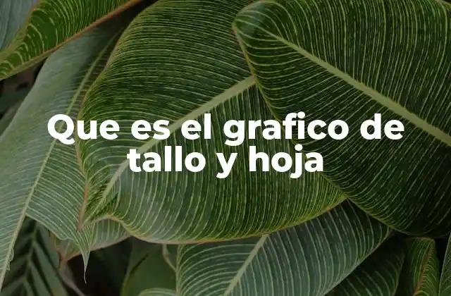 Que es el Grafico de Tallo y Hoja