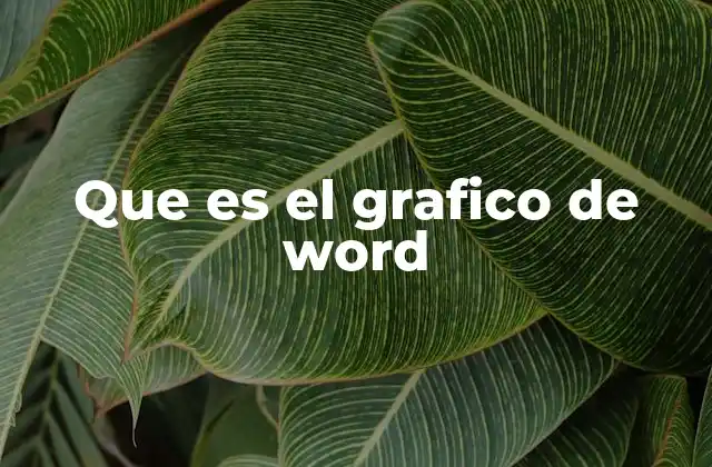 Que es el Grafico de Word