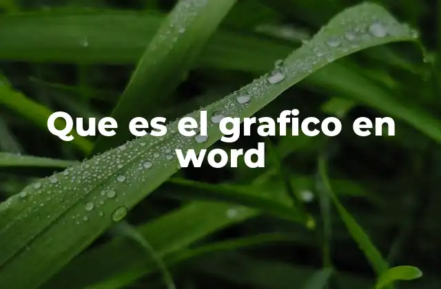 Que es el Grafico en Word