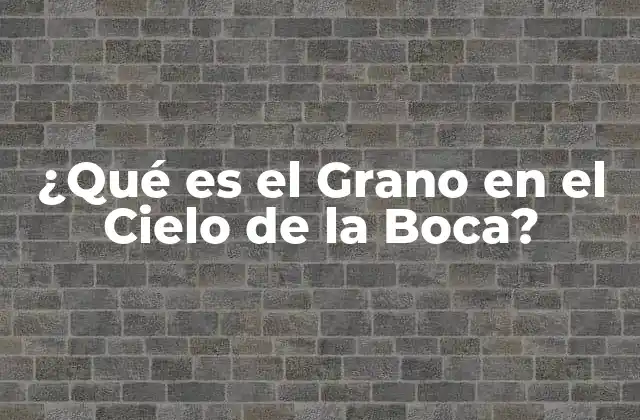 ¿qué es el Grano en el Cielo de la Boca?
