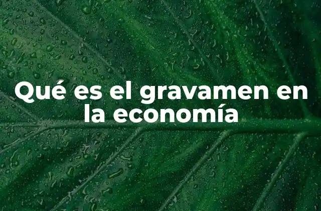 Qué es el Gravamen en la Economía