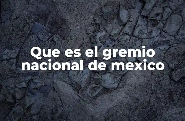 Que es el Gremio Nacional de Mexico