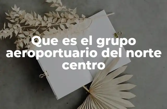 Que es el Grupo Aeroportuario Del Norte Centro
