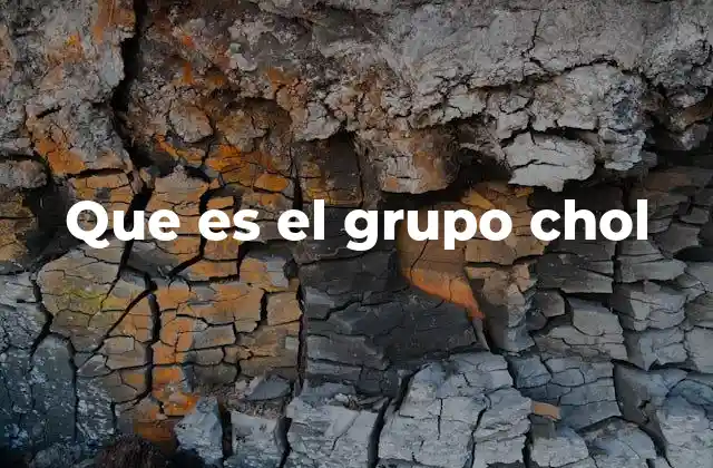 Que es el Grupo Chol