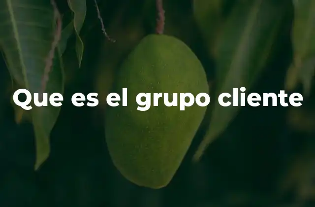 Que es el Grupo Cliente