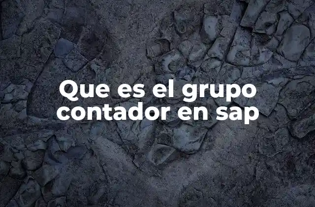 Que es el Grupo Contador en Sap