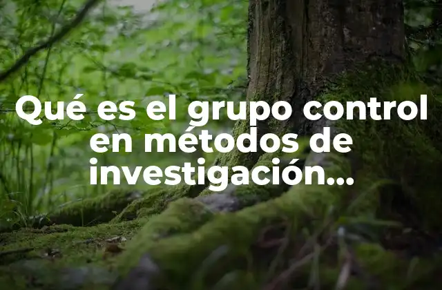 Qué es el Grupo Control en Métodos de Investigación Experimental