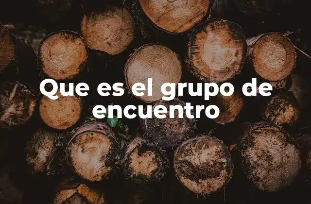 Que es el Grupo de Encuentro