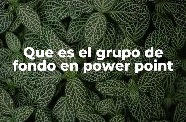Que es el Grupo de Fondo en Power Point