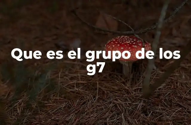 Que es el Grupo de los G7