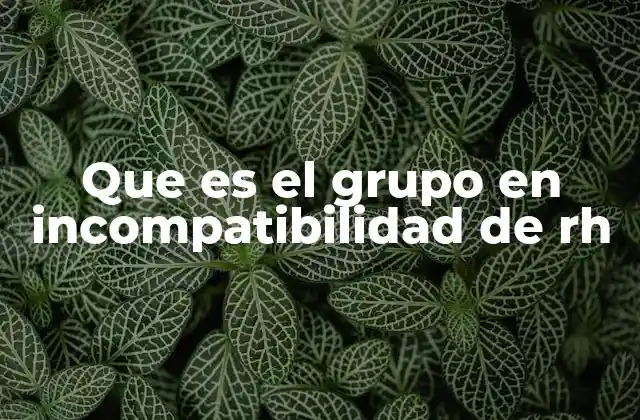 Que es el Grupo en Incompatibilidad de Rh