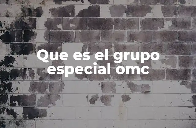 El mecanismo de resolución de disputas en la OMC