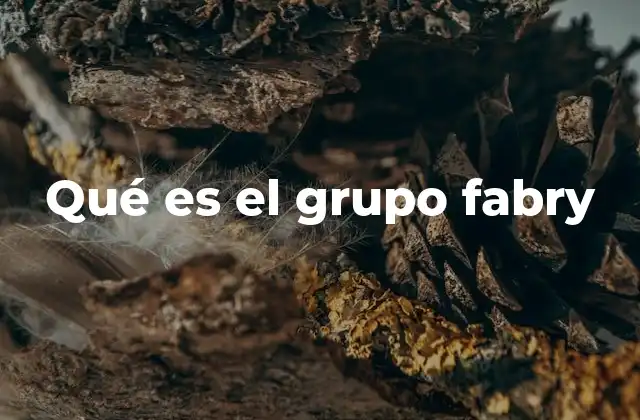 Qué es el Grupo Fabry