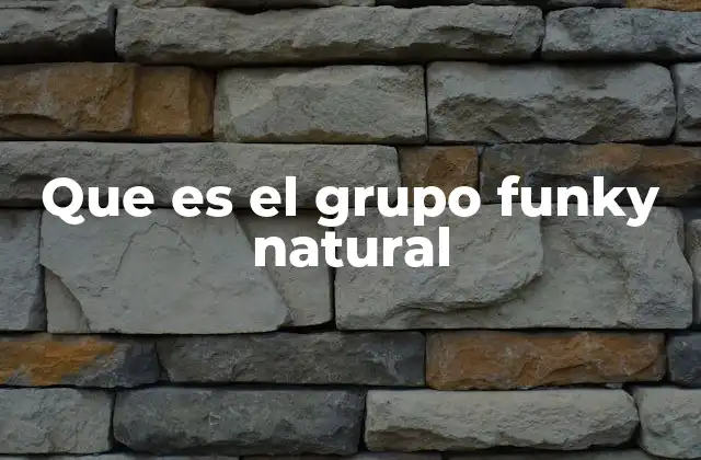 Que es el Grupo Funky Natural