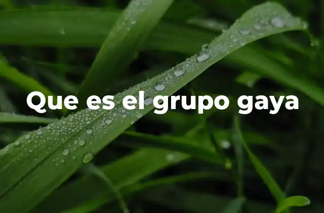 Que es el Grupo Gaya