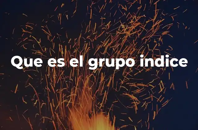 Que es el Grupo Indice