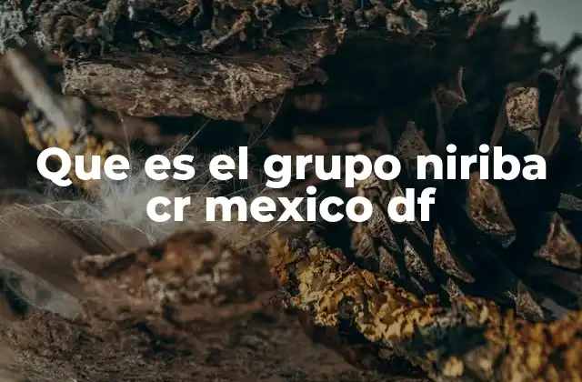 Que es el Grupo Niriba Cr Mexico Df 2 El impacto cultural del Grupo Niriba en la Ciudad de México