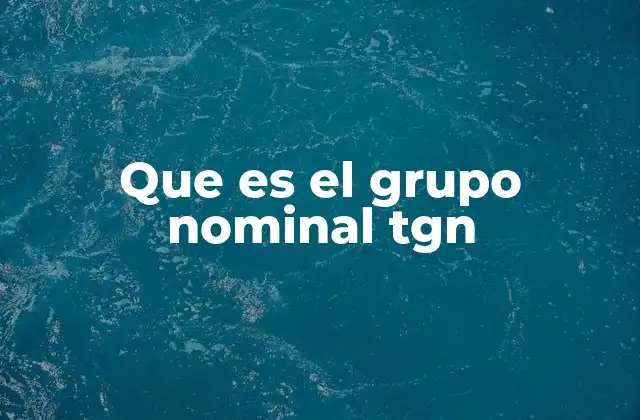 La importancia del análisis del grupo nominal en la gramática