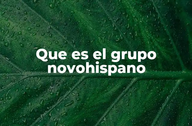 Que es el Grupo Novohispano 2 El legado musical de una banda pionera