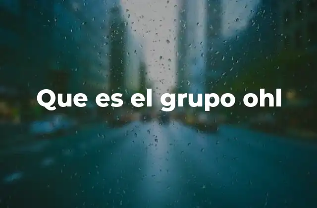 Que es el Grupo Ohl