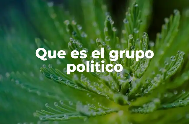 Que es el Grupo Politico