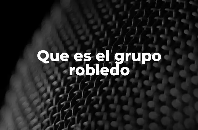 Que es el Grupo Robledo