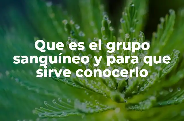 Que es el Grupo Sanguíneo y para que Sirve Conocerlo