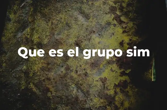 Que es el Grupo Sim