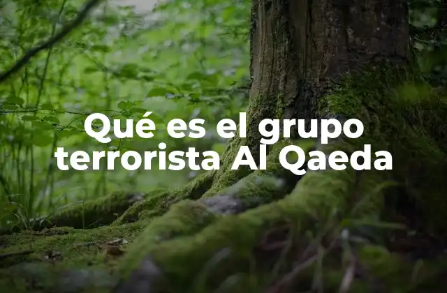 Qué es el Grupo Terrorista Al Qaeda