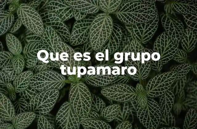 Que es el Grupo Tupamaro