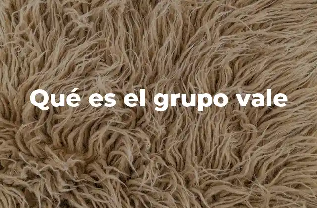 Qué es el Grupo Vale