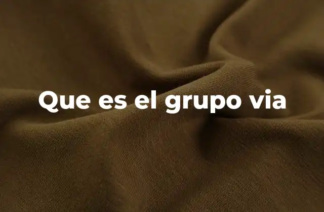 Que es el Grupo Via