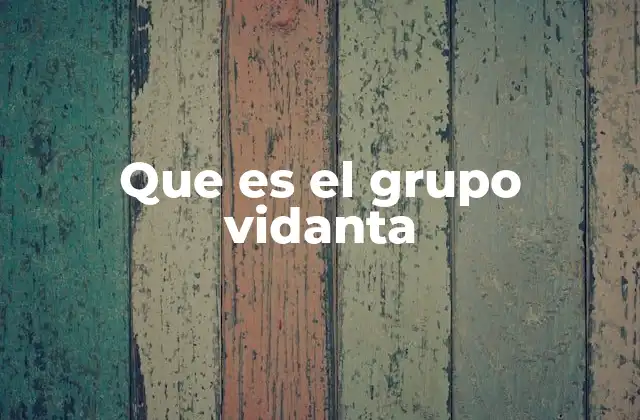 Que es el Grupo Vidanta