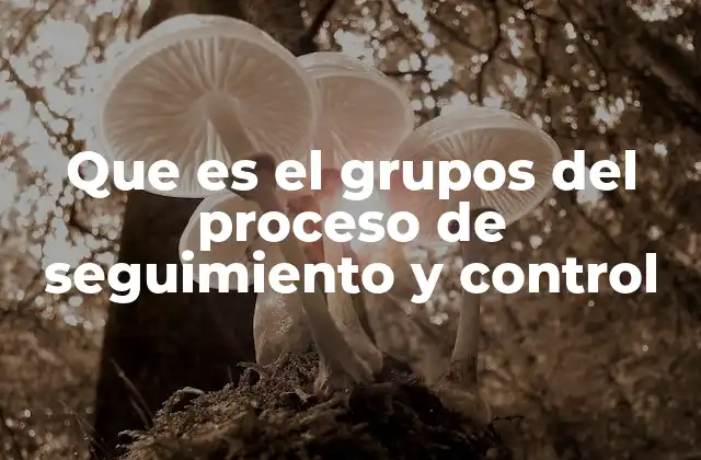 Que es el Grupos Del Proceso de Seguimiento y Control