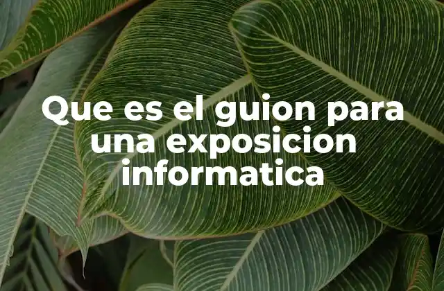 Que es el Guion para una Exposicion Informatica