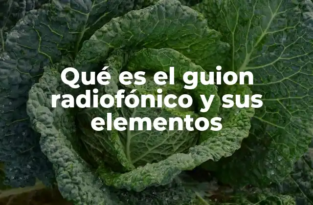 Qué es el Guion Radiofónico y Sus Elementos