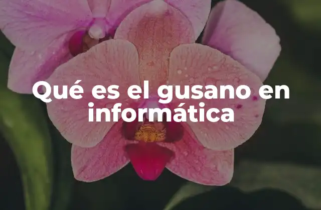 Qué es el Gusano en Informática 2 El impacto de los gusanos en la seguridad digital