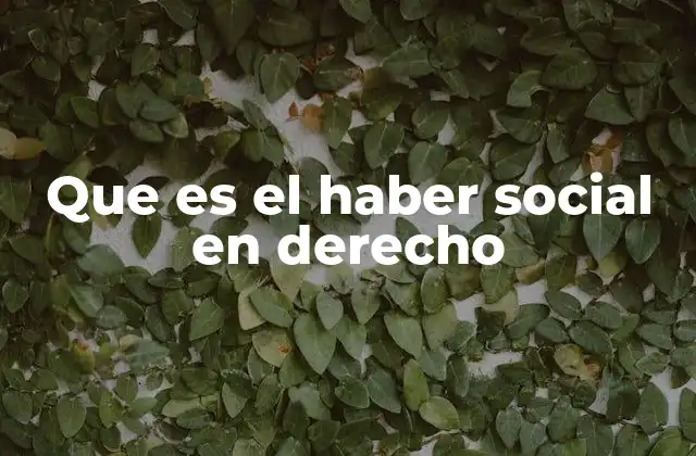 Que es el Haber Social en Derecho
