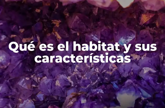 Factores que definen un buen entorno para la vida