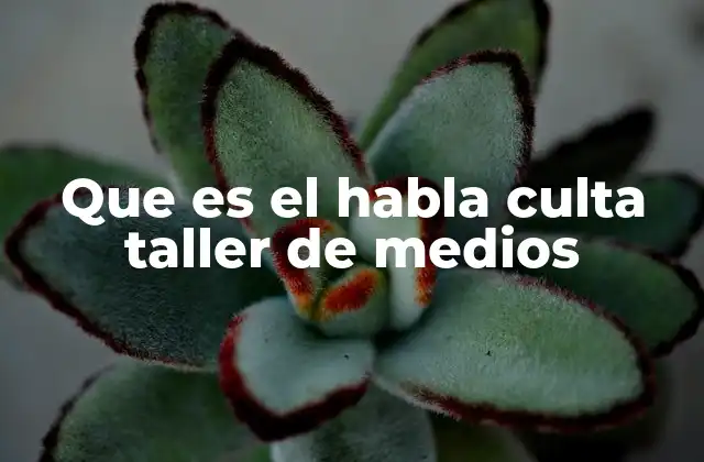 Que es el Habla Culta Taller de Medios