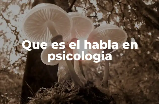 Que es el Habla en Psicologia