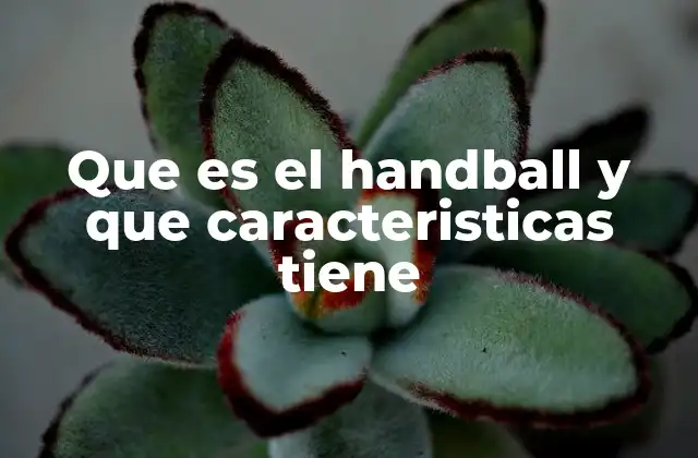 Que es el Handball y que Caracteristicas Tiene