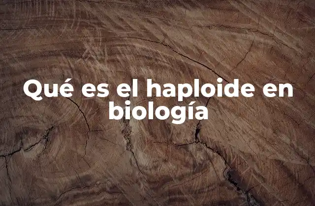 Qué es el Haploide en Biología