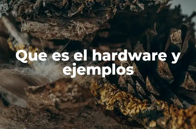 Que es el Hardware y Ejemplos